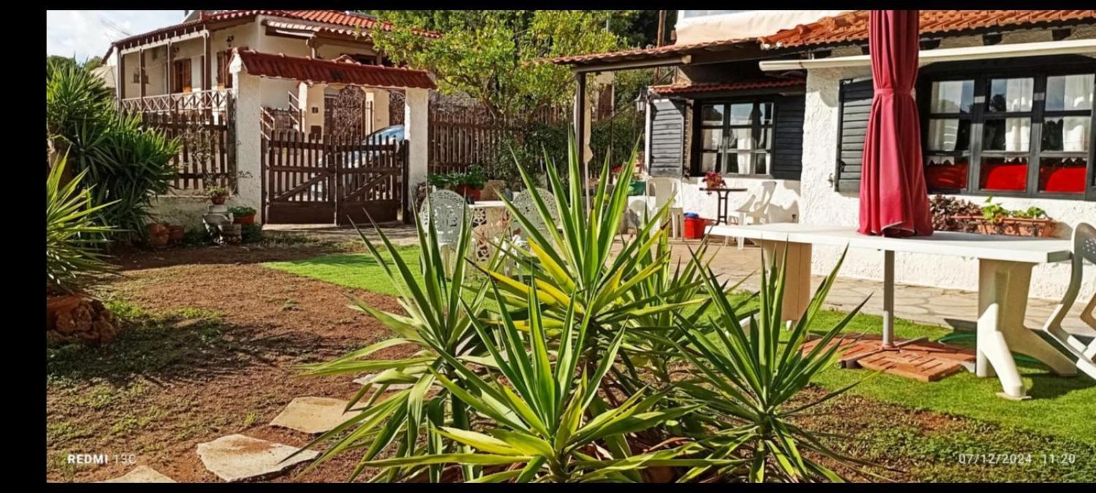 Phedra'S House Spata- Artemida מראה חיצוני תמונה